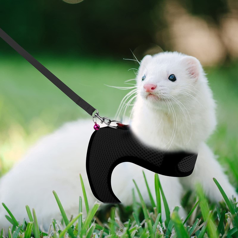 Rypet Small Animal Harness and Leash - Soft Mesh Pet