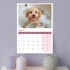 Cockapoo Calendar 2025 12 Month to View A4 2025 Calendar