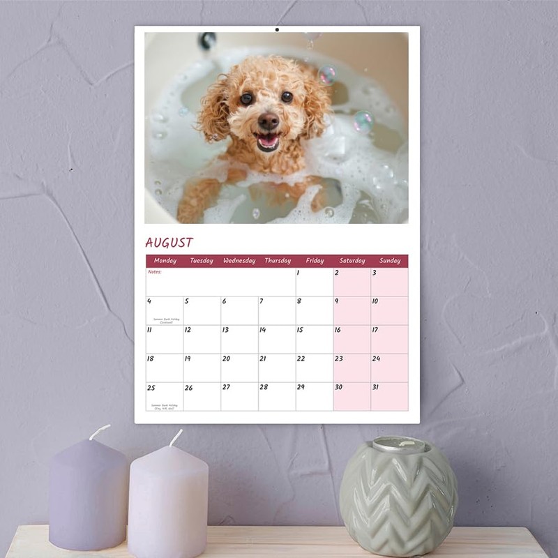 Cockapoo Calendar 2025 12 Month to View A4 2025 Calendar