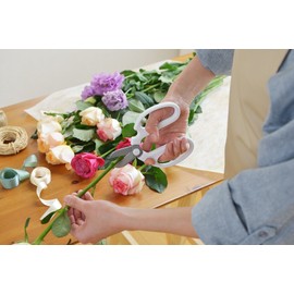 Sakogen Hand Creation [Flower Type/White] SHUSHUx Sakagen Florist Scissor