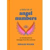 A Little Bit of Angel Numbers: An Introduction to Messages