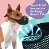 FDEETY Muzzle for Dogs, Soft Mesh Muzzle for Small, Medium