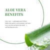 Gynable & VEVOEC Aloe Vera Capsules | 90 Count |