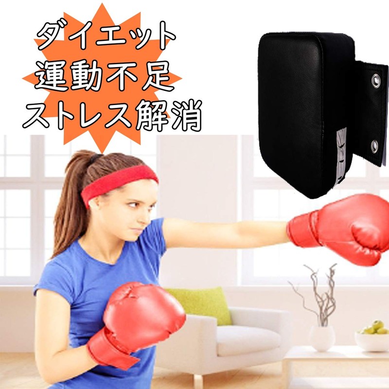 S.fields.inc Boxing Target Punch Pad Wall Mounted Mini Sandbag Wall