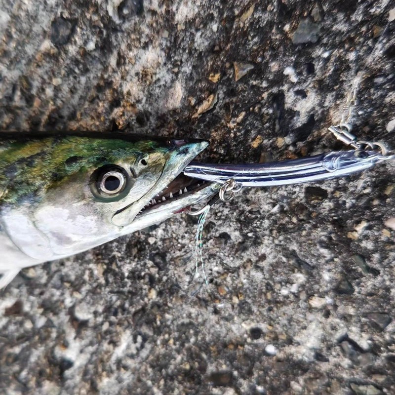 METAL ADICT type07 メタル アディクト タイプ ゼロセブン (72mm / 30g,