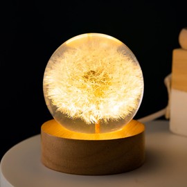 JFTOSALE Dandelion Flower Decorative Ball Night Light - 2.4 Inch Resin Orb Lamp Paperweight with Wooden Base for Home Decor Bedroom Gift (Warm Light)