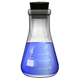 50ml Narrow Mouth Erlenmeyer Flask with Rubber Stopper (Single)