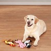 Fox Valley Traders Stuffing Free Farm Animal Dog Toys, Set