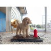 Silicone Potty Training Dog Fire Hydrant | Pee Training for