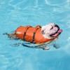 Outward Hound Granby Splash Dog Life Jacket, High-Buoyancy Dog Life