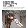 Outward Hound Squawkers Henrietta Latex Rubber Chicken Interactive Dog Toy,