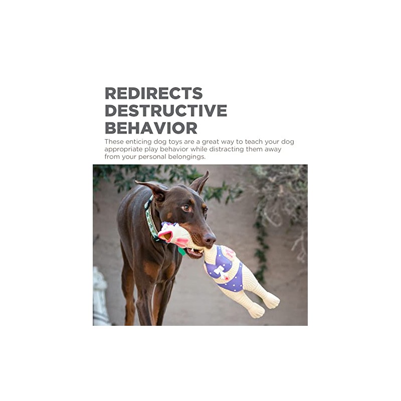 Outward Hound Squawkers Henrietta Latex Rubber Chicken Interactive Dog Toy,