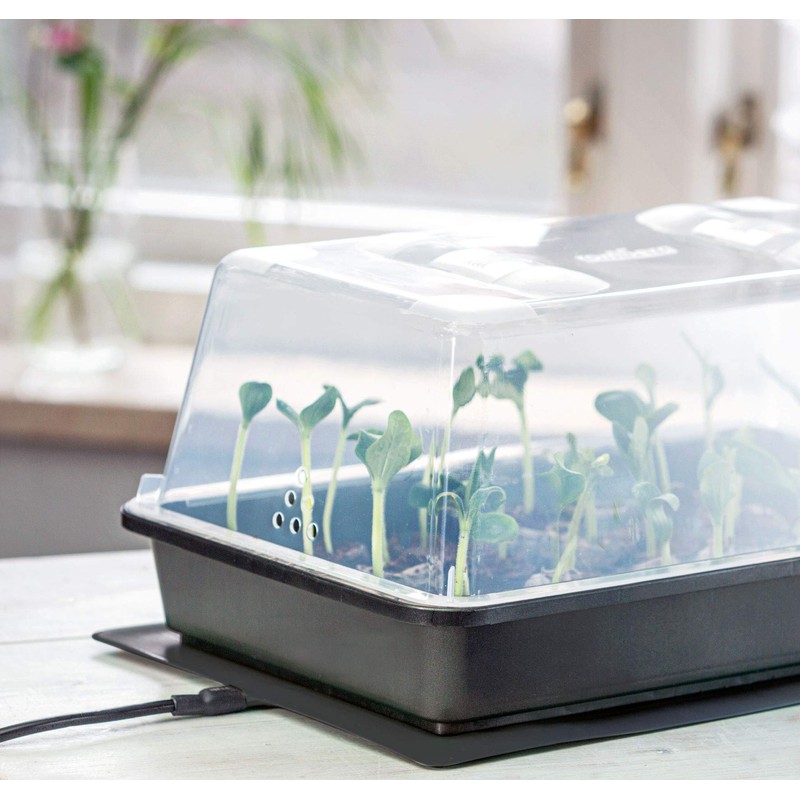 Romberg Thermo M Very Stable Greenhouse with Ventilation and Heating