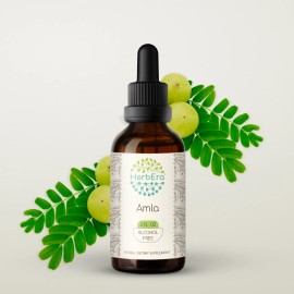 HerbEra Amla Alcohol-FREE  Tincture Organic Amla (Emblica Officinalis) - 2 fl oz