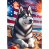 Siberian Husky Grey - Best of Breed DCR July 4