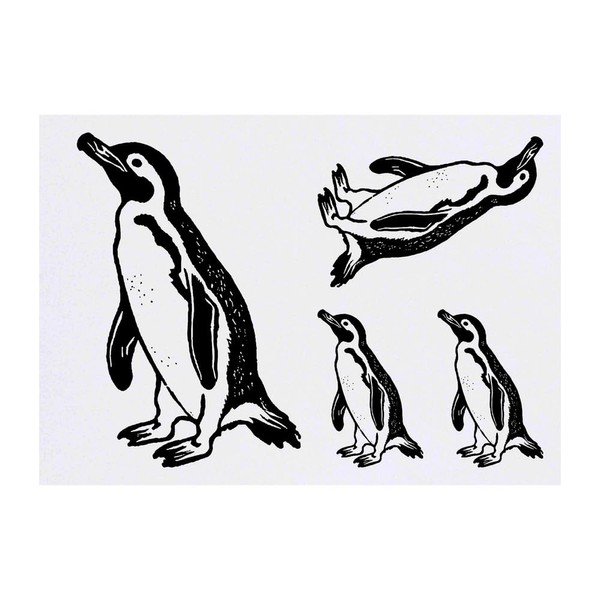 Azeeda 4 x 'Afrikanischer Pinguin' Temporäre Tattoos - Wasserfest, Hautfreundlich