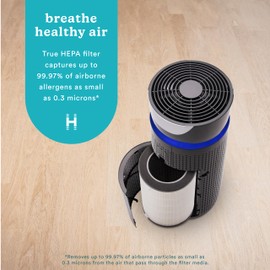 HoMedics TotalClean 3-in-1 True HEPA Filter Replacement for Air Purifier HoMedics AP-T40, AP-T40WT, AP-T43-WT, AP-T45-BK and AP-T45-WT, True HEPA Filter Removes Up to 99.97% of Airborne Particles