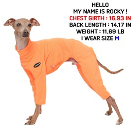 D Doggy Star Italian Greyhound Clothes Strechy Neon Onsie Spring Summer (S,Onsi Ne Orange)