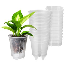 GREENPARA 5-Inch Self-Watering Plant Pots - 10-Pack Clear Plastic Planter with Deep Reservoir, Drainage Holes for Indoor & Outdoor Gardens, Herbs, Succulents, and Flowers