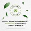 Secrets of the Tribe White Willow Alcohol-Free Liquid Extract, White