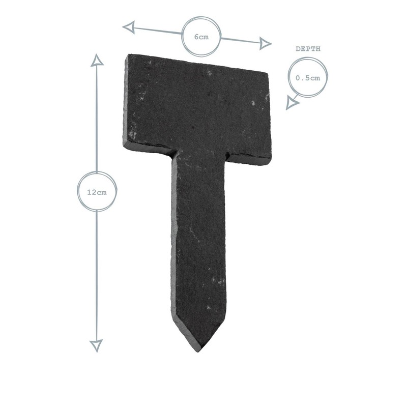 Nicola Spring Number Natural Slate Flower/Plant/Herb Square Top Label Pegs