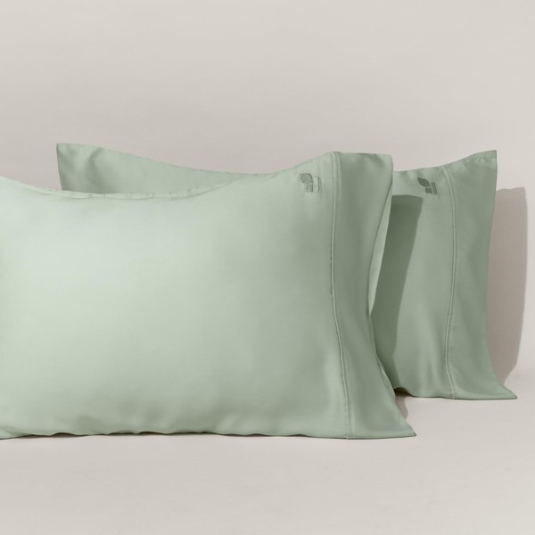 ArthCrafted 100% Austrian Eucalyptus Tencel Cooling Pillowcases, 2 Pack Moisture