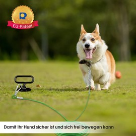 Ground Anchor Dog, Lead and Stake for Medium to Large up to 220 lbs, Mooring Stake, Spiral Blade for Yard, Beach, Lawn, Outdoor (Black)