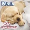 Papel Higiénico Pétalo Rendimax 12 Rollos