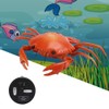 Funny High Simulation Remote Control Infrared Animal Crab Kid Trick