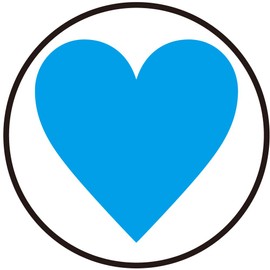 Goggle Case Accessory [Heart] WBL