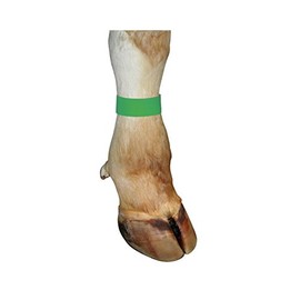Legbands, green - A06387