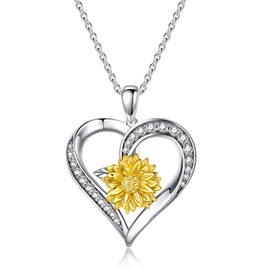 Dorunmo Urn Necklaces for Ashes Sterling Silver Ashes Necklace Necklace Urns for Human Ashes Keepsake Necklace for Ashes Memorial Necklace Cremation Jewelry for Ashes Urn of Loved One, Sterling