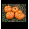 Kellogg's Breakfast Tomato 25 - 1000 Seeds Heirloom Unique Bulk