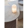 Beacon Lighting Panton 1 Light Table Lamp in Alabaster