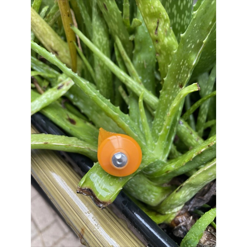 Paula's Choice 2x Paula's Choice C5 Super Boost Moisturizer 0.5oz/15ml