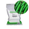 Beit Alpha CMR/MMR Cucumber Garden Seeds - 1 Lb -