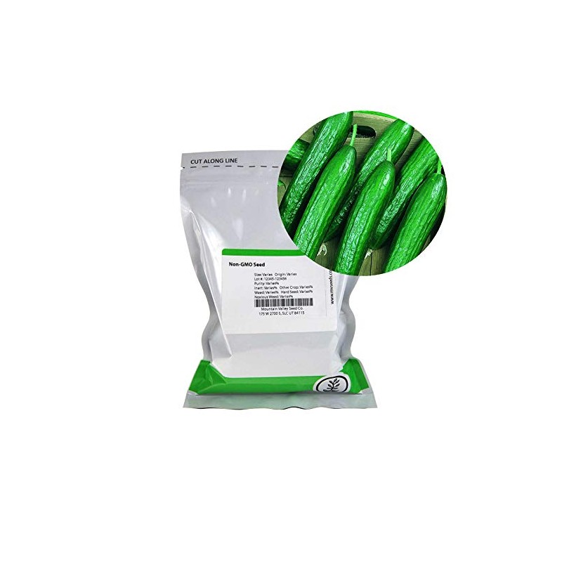 Beit Alpha CMR/MMR Cucumber Garden Seeds - 1 Lb -