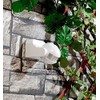 revolt Outdoor Motion Detector: Vertical Pivoting 180° PIR Motion Detector,