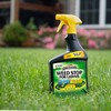 Spectracide HG-96542 Lawn Weed Killer