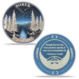 2 Year Sobriety Coin Gifts | Forest Wanderer AA Chip Medallion with Inspirational Quote | Narcotics Alcoholics Anonymous Anniversary Sobriety Gifts for Men Women in Recovery