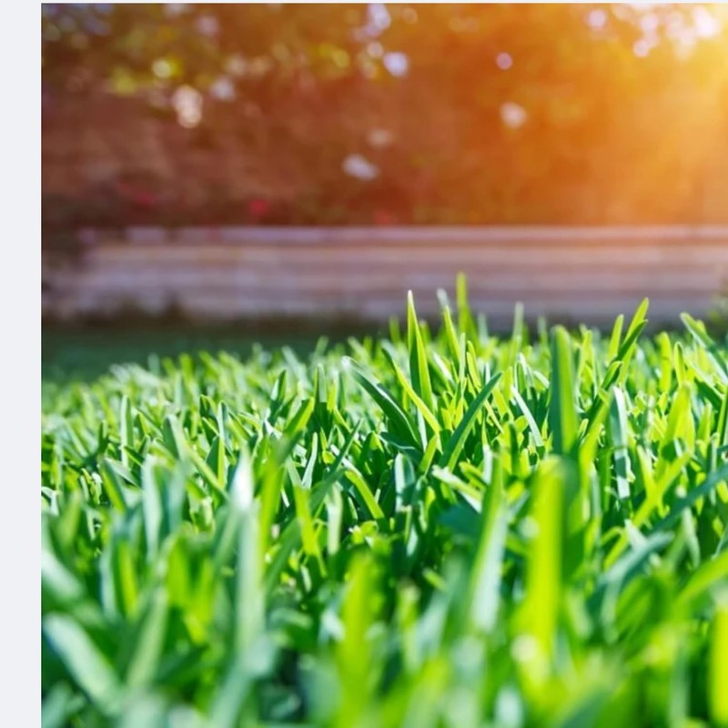 Mo Deck Lawn Mower Nonstick Spray – A Pressurized Can,