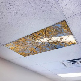 Magnetic Fluorescent Light Cover for Ceiling Lights Classroom 2x4 - High Resolution Magnetic Office Light Filter (Pack of 1) - Improve Focus, Eliminate Headaches & Eyestrain - Tree