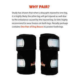 NeoAlly Pair Dog Front Leg Brace with Metal Strips Super Supportive to Stabilize Canine Front Leg Wrist Carpal Joints, Prevents Leg Injuries Sprains Arthritis (Large X-Large)