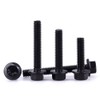 1/4-20 x 1 Black Flanged Hex Head Bolts Screws, 304