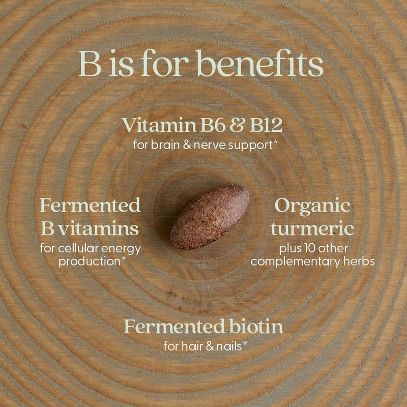 New Chapter Vitamin B Complex – Fermented Coenzyme B Complex