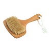 Croll and Denecke 60074 Bath Brush with Short Handle