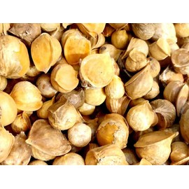 Yerbero - Ajo Japones / Japanese Garlic | Chinese Garlic / AjoChino| 400+ Garlic Cloves 1 Lb Premium Quality, Stand Alone Resealable Bag Keeps Garlic Always Fresh! Crafted By Nature100% All Natural Big Size Garlic Cloves (1)