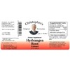 Hydrangea Root Extract by Christopher's