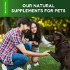 Salutempet Dog Antibiotics for Infection, Cough, & UTI | Herbal,