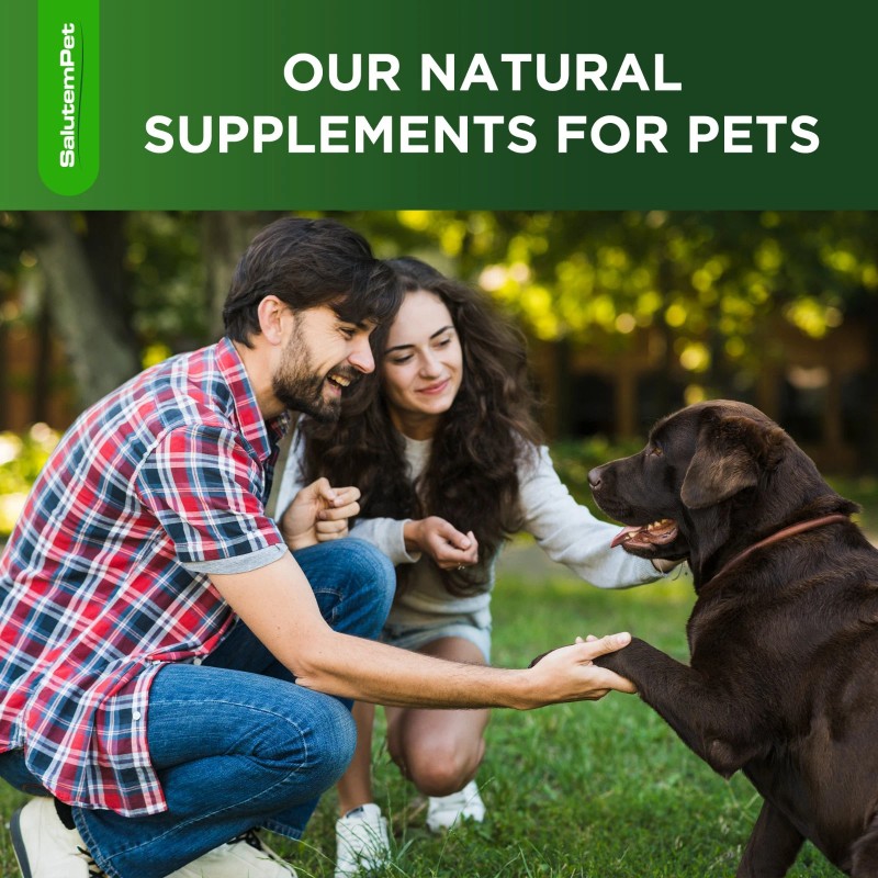 Salutempet Dog Antibiotics for Infection, Cough, & UTI | Herbal,